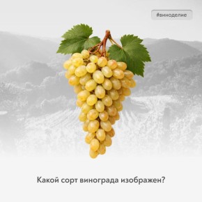 ������� ��������� �������������