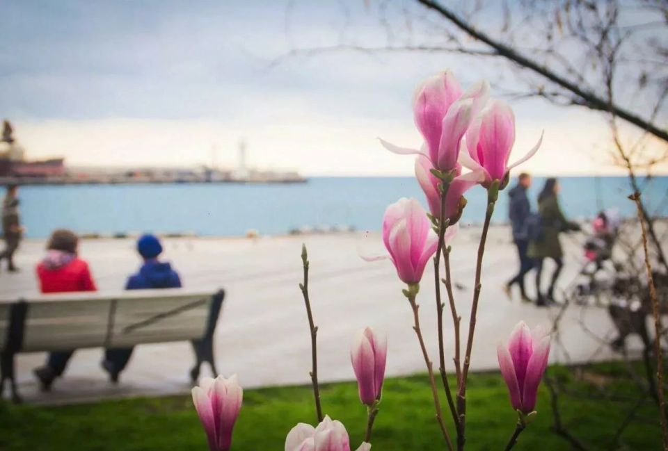 ������� ���� ������� �������� � �������� ������� ������