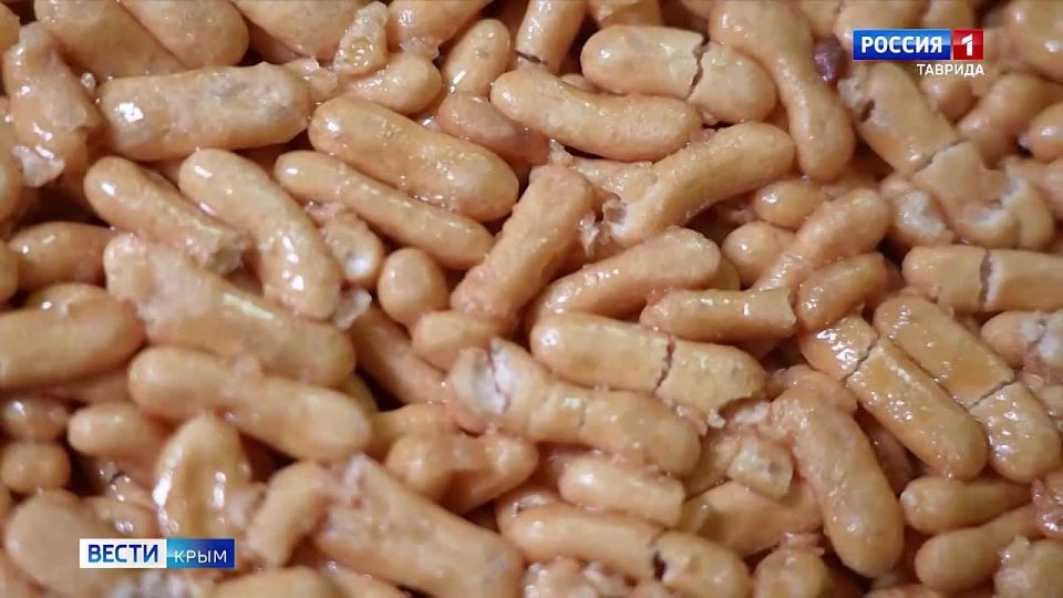 � ������ � ������ ������ ����������� ����� ����� �� ��� ���������