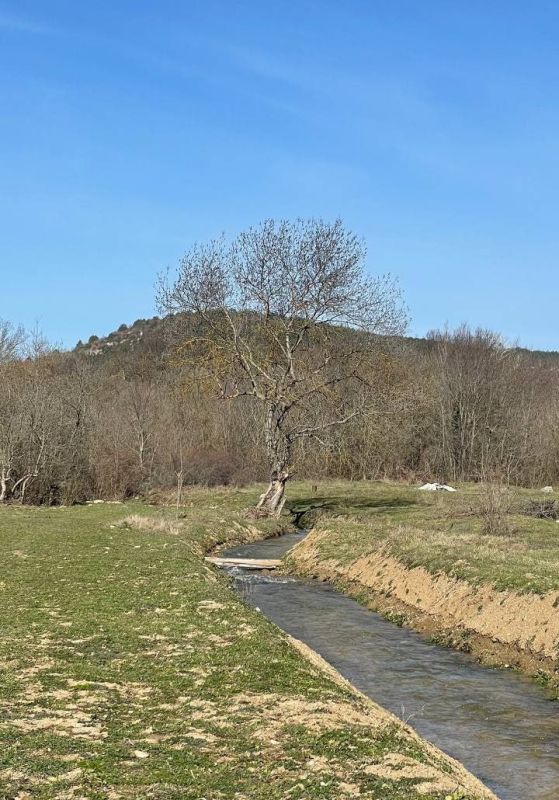 ������ �� 7 �����: