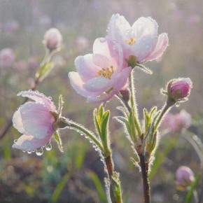 ������� ������ � ����� �� 7 �����