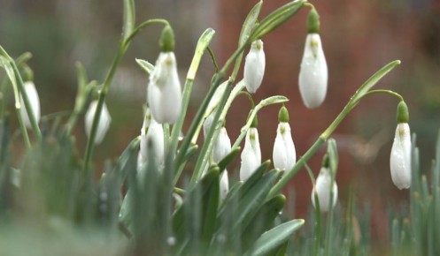 ������ 7 ����� � �����������