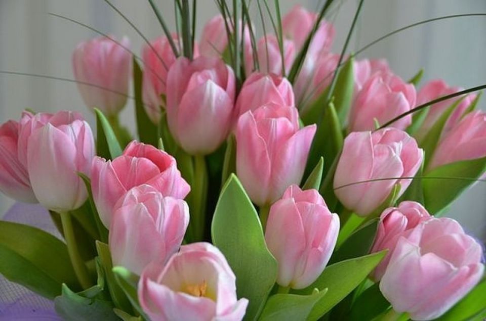 �������� ���: ������� ���� �������, ���������� ��� � ���������� �������� ���������� � 8 �����!