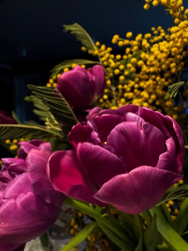 ��������� ���������� �������� ������������ � 8 �����