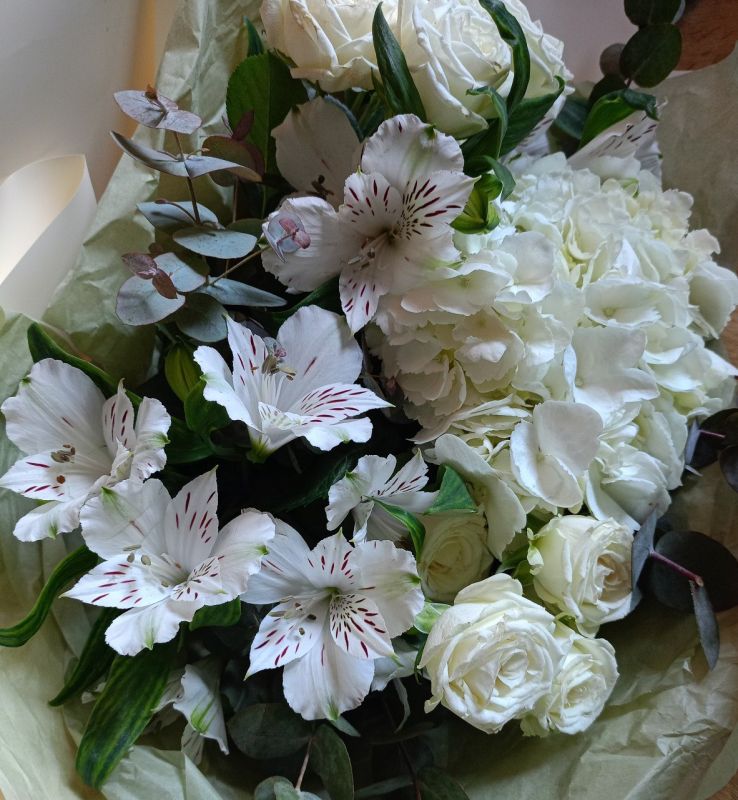 ������� �������!. ������������ ������� ���������� ���� �������� ����������� ��� � ������������� ������� ����!