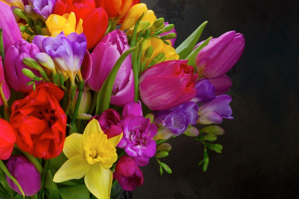 Сергей Аксёнов: Любовь и нежность. Душевное тепло и забота