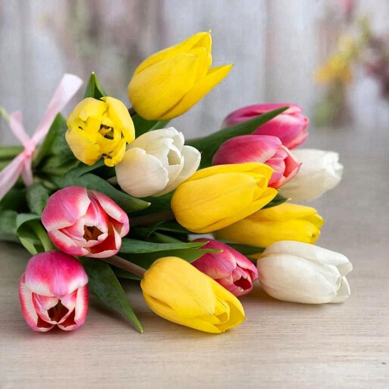 ���� ���������: ����� �������, �������, �������