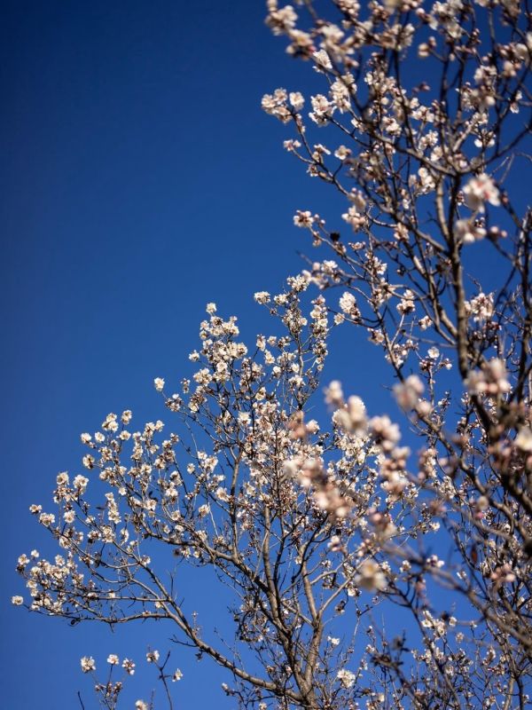 ����� ������ ����� � ���������