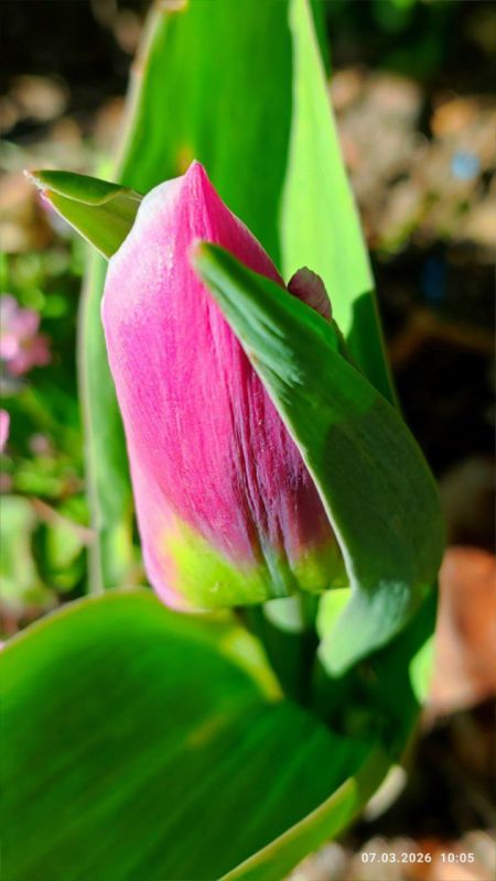 ��������� � �������� ����� ��������� � ��������� ������������ ����