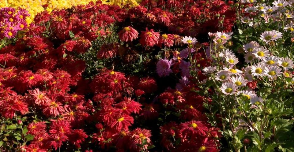 ��� ����� ���������� �����!!!� 8 �����, ����� ����!!!