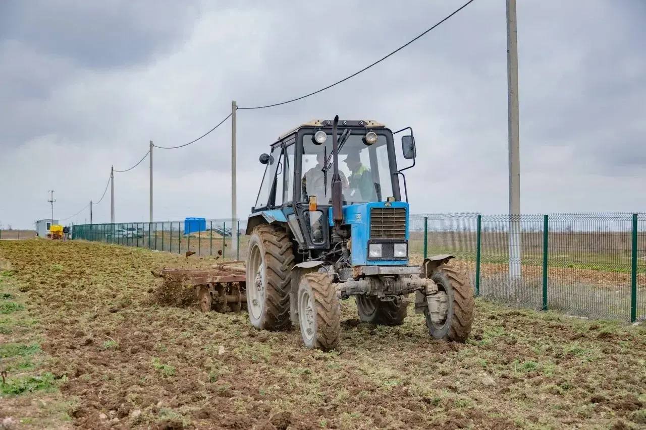 Михаил Развожаев: Как готовим молодых аграриев в Севастополе Михаил Развожаев: Как готовим молодых аграриев в Севастополе