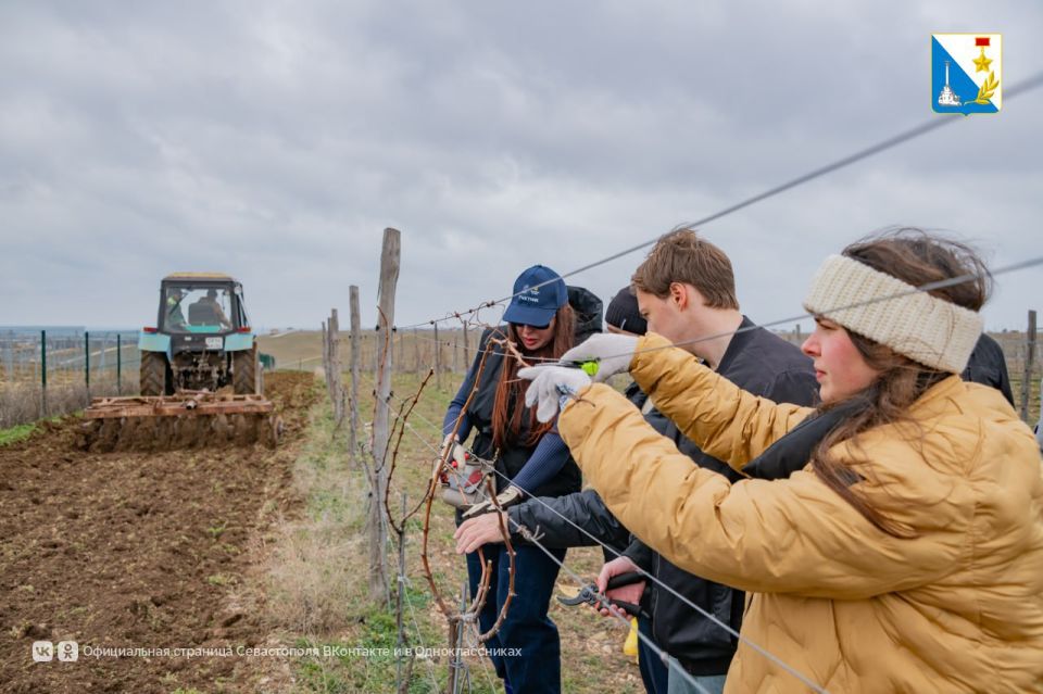 70% ������������ �� ����� ������������ �������������� ������� � ���������� �����