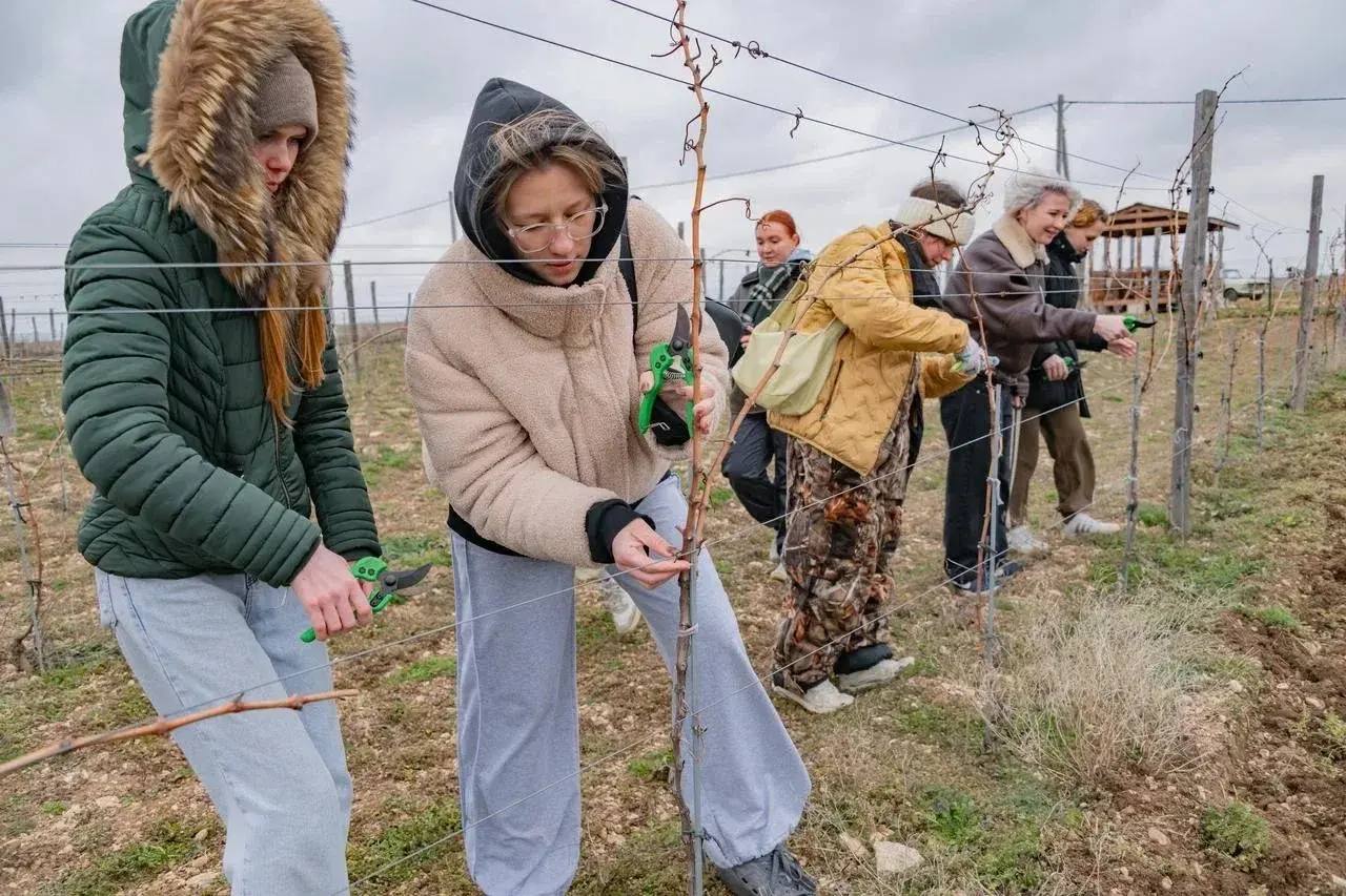 Михаил Развожаев: Как готовим молодых аграриев в Севастополе Михаил Развожаев: Как готовим молодых аграриев в Севастополе