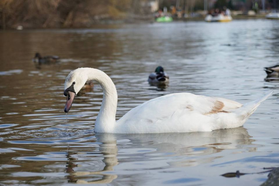 ���� ����� �������� � ����������� ��������� �����: ������ � ���� �� ������ �����