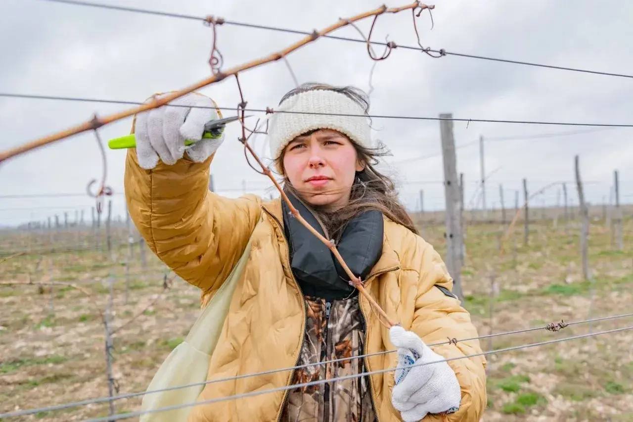 Михаил Развожаев: Как готовим молодых аграриев в Севастополе Михаил Развожаев: Как готовим молодых аграриев в Севастополе
