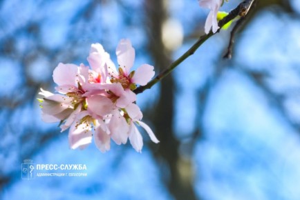 ������ ����, ���������!. ����������� ������� ���������� ������� �� +12��