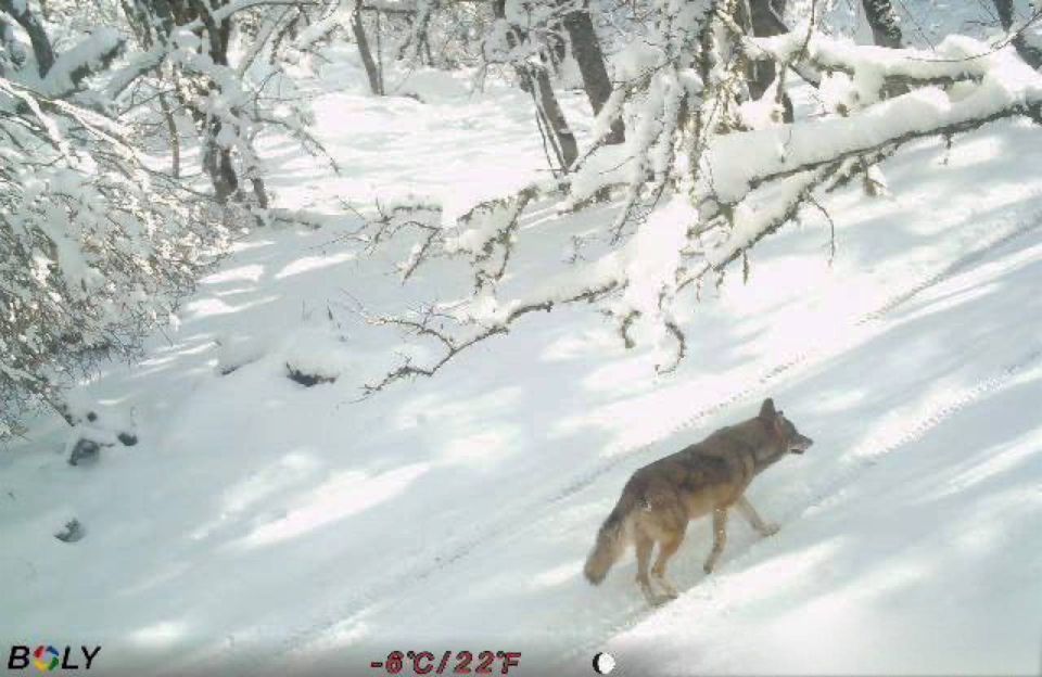 ���� �� ����� � �����? ������ ����, �� ����! ��������, ���� �� ��� �������� �� ���������� ����������� "��������"