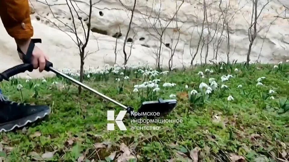 ���������� ������ �������� ������� � �����