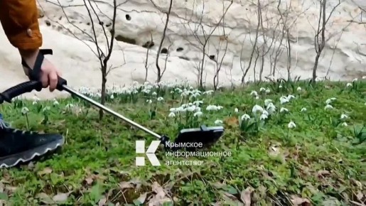 ���������� ������ �������� ������� � �����