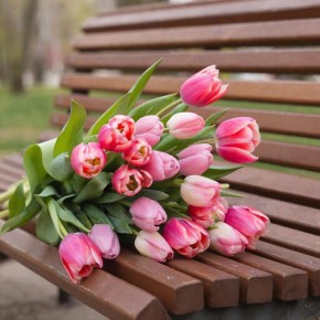 ����� ������ ��� ������� � ������ ����� 10 �����