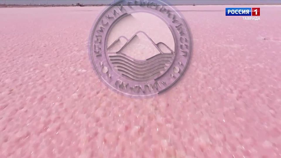 ������� ������ � ����� �� 10 �����