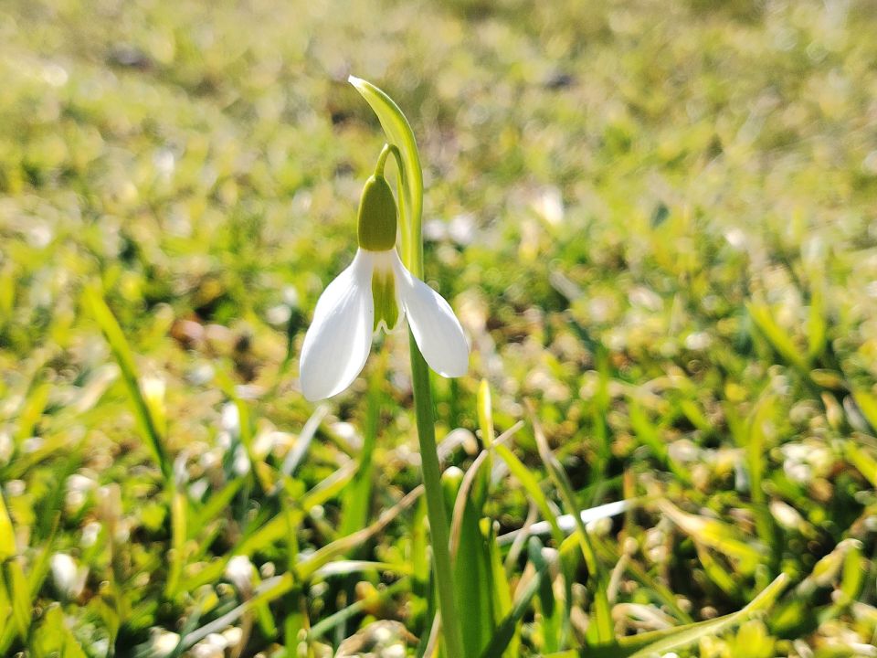 ������ ����, �������!. ����� ��� �������� ���� ������ ������� ��������� ���, ������� ������, ������� � �������� ������