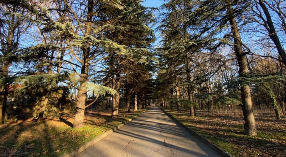 � ������� ����� ������ ������������ �����