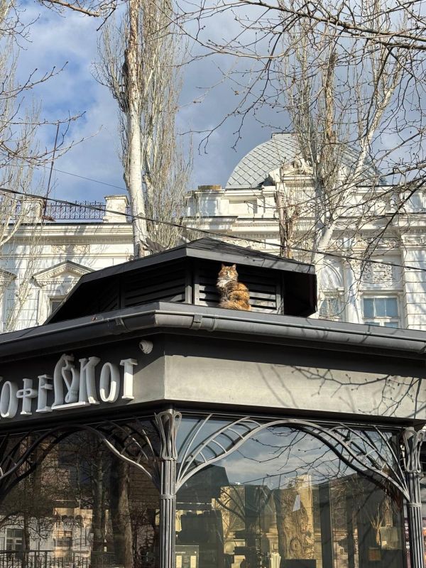 �������� ����: ����� �������� ���� ������� ����� ����� �������