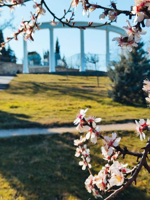 ���� ����� ��������� � ����������� ����������