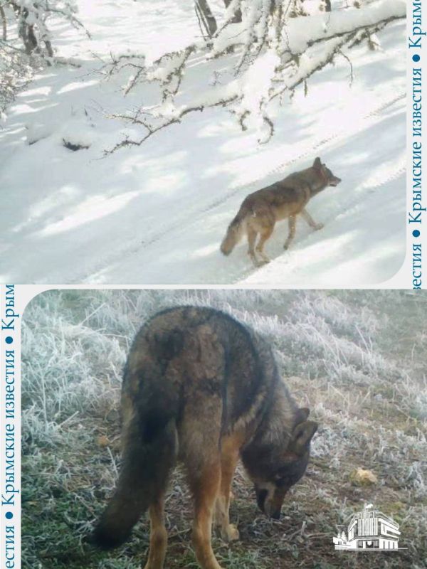 ����� ����� ��������� � �������� ������������: ����� ���� ������ ������ � ����������� ����������