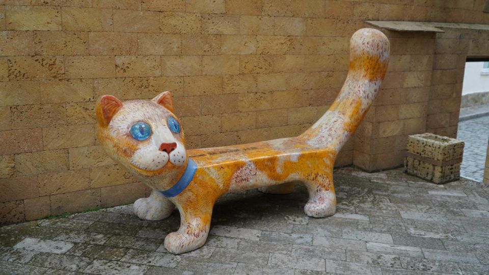 �������� ����: ����� �������� ���� ������� ����� ����� �������