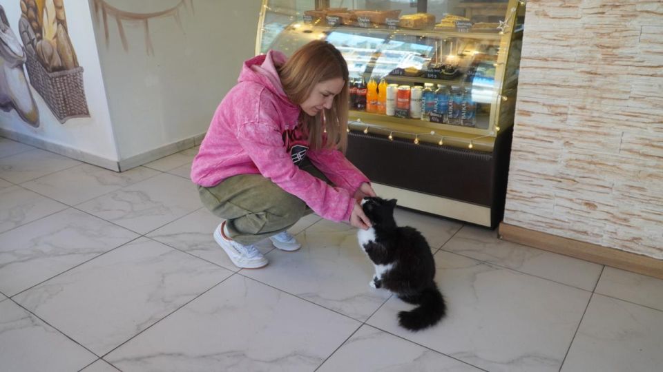 �������� ����: ����� �������� ���� ������� ����� ����� �������