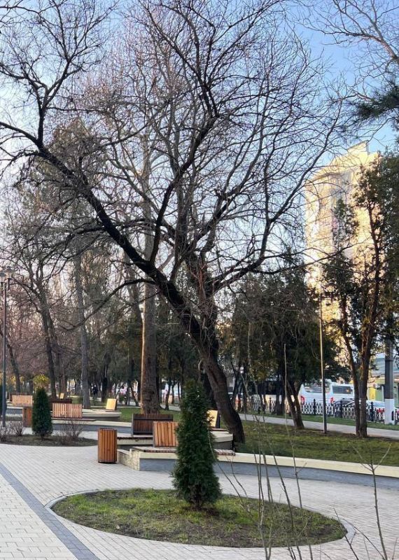 ������ 10 ����� � �����������