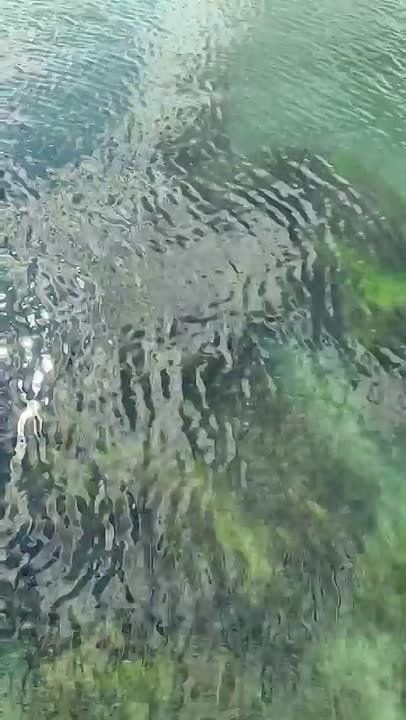 Тепло и солнечно в Крыму. Судак @sandro_crimea