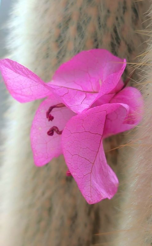 ��� �����������. � ��� ������ ����� � ���������� ��������� ���������� ������������� ����