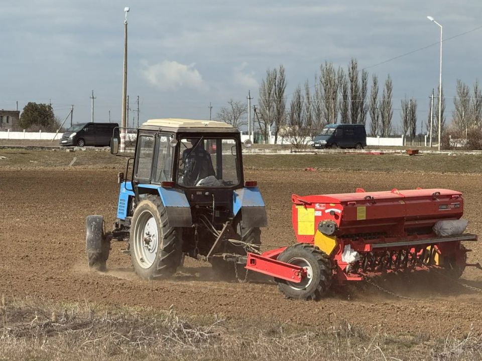 ������ �������: ������� ������������������ ������ ������� ���������� � ���� ������ �������������������� �������: ���������, ������� ������