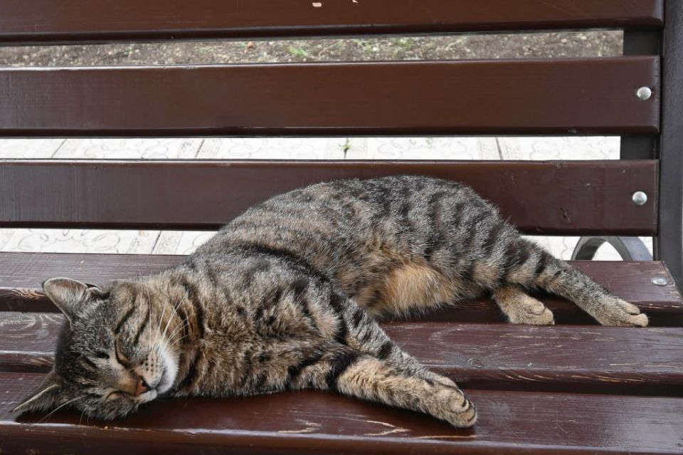 � ����� ��� ����� � ������ � ��� ���������: ������� ����� ������ �� �������� � ���