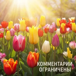 ���� �����: ��������� ��������� ������ ����������!