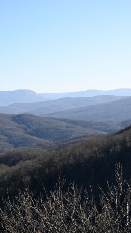 ������ ����� �� ������� �������� ��� �� ��� �������