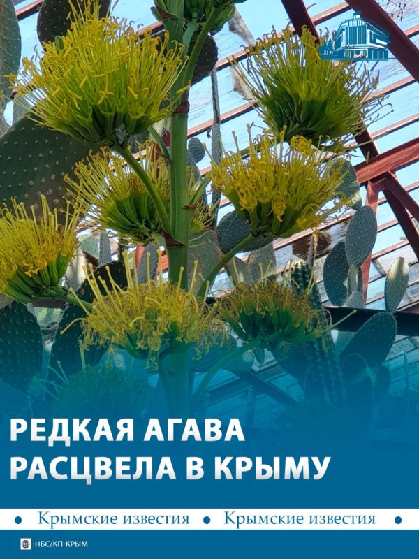 ������ ��������� ������� ����� � ��������� ������������ ����