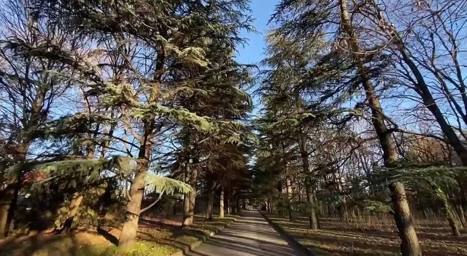 ����� �����������