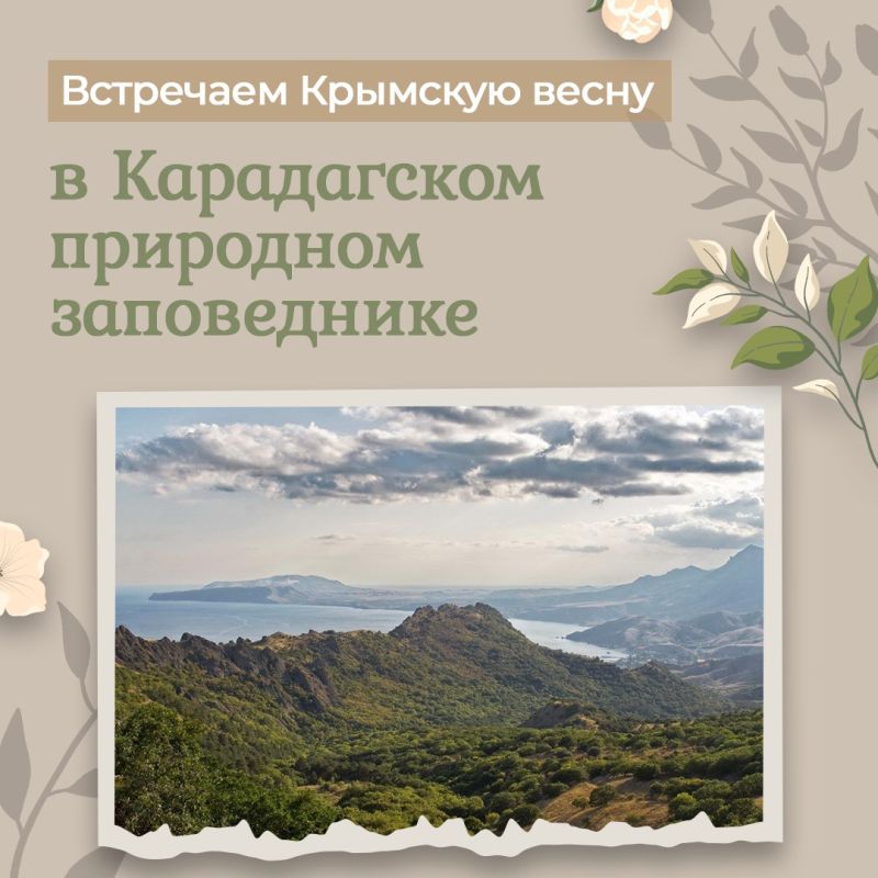 � ����� 12-� ��������� ������������� ����� � ������� ����������� ���������� ����� ����������� �������� ��� ����������� �� �������� ����