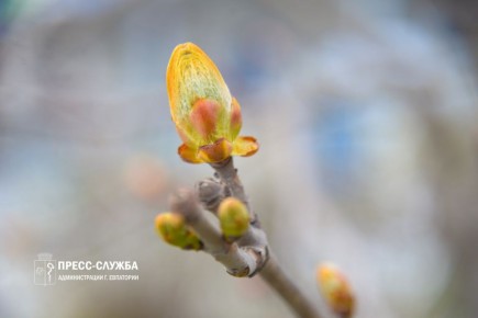 ������ ����, ���������!. ����������� ������� ���������� ������� �� +15��