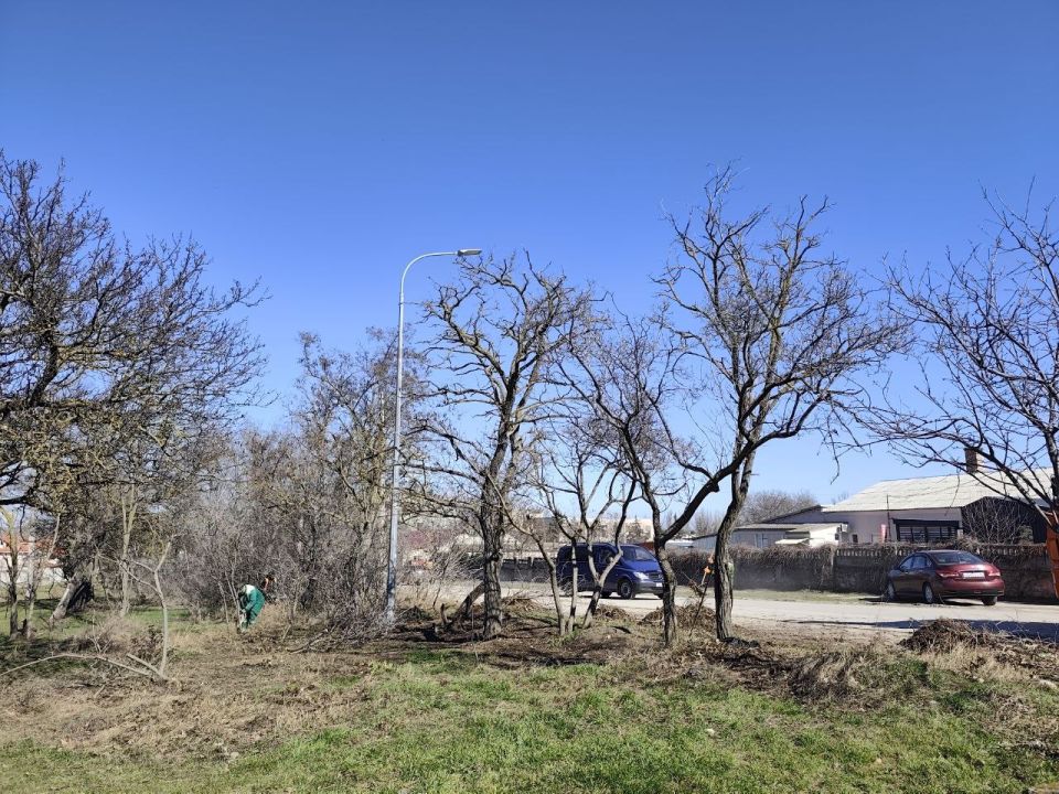 �������� ������� ������������ ������ ���������������