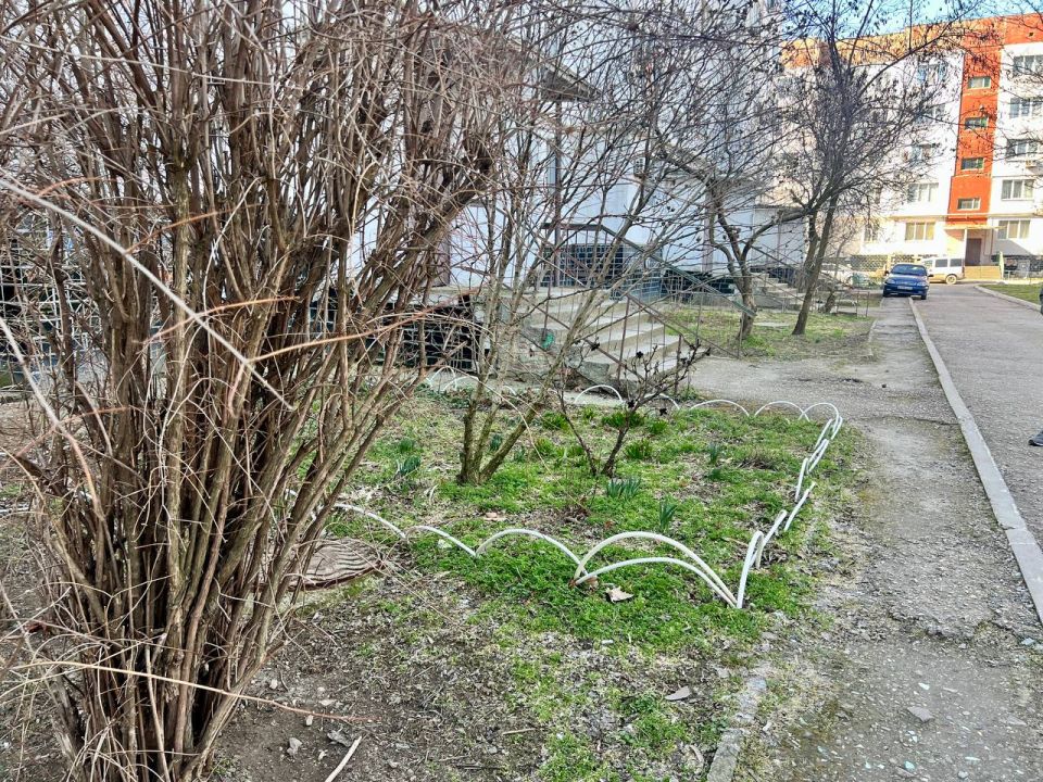 ������� ���������: ��������� ������� � ��������� ����� ����.��.�������� ������� �� ������� ����������� ���������