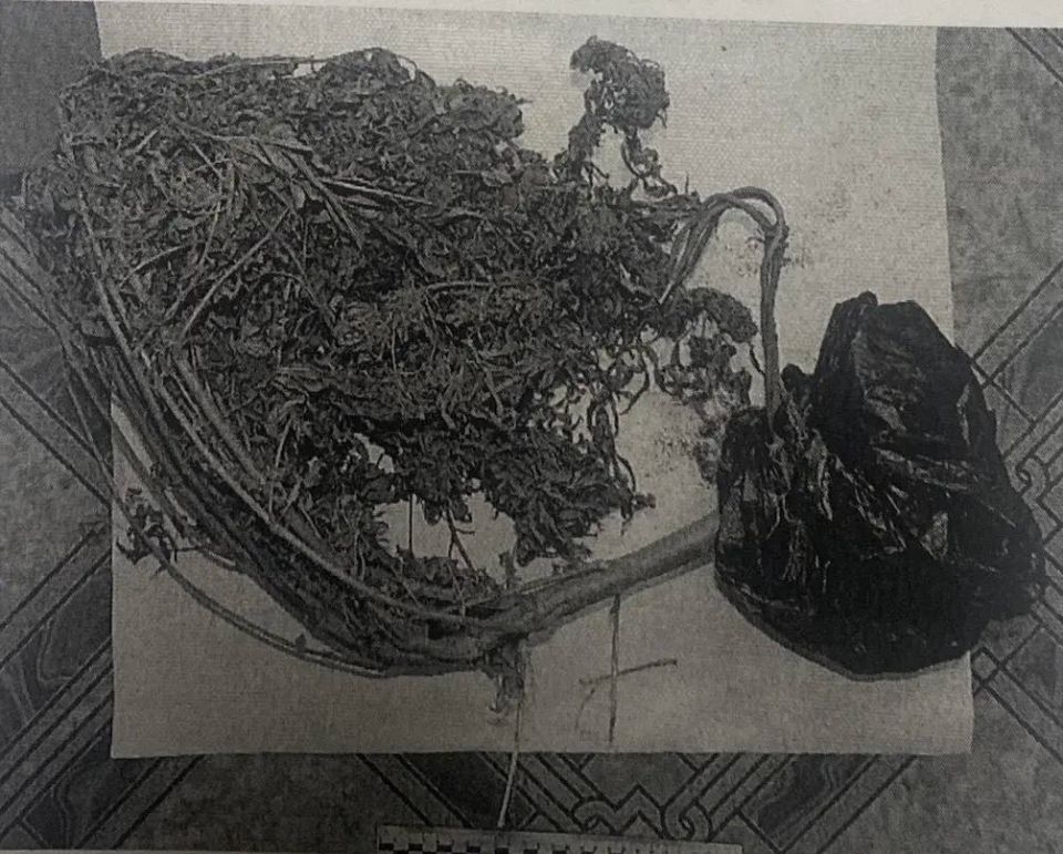 В Красногвардейском районе за незаконное хранение каннабиса осуждена местная жительница