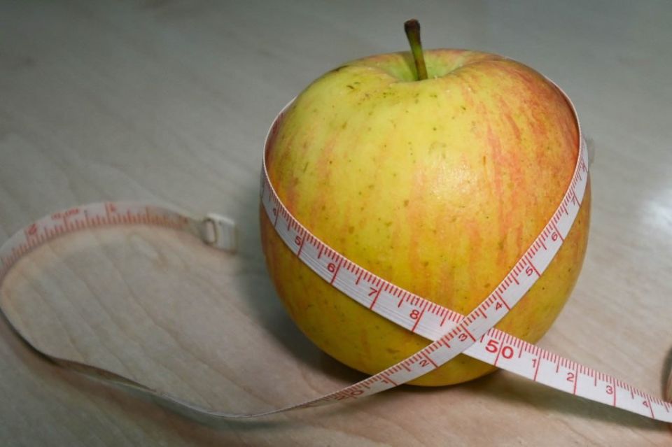 ����� ���� ������ ��������� ������ ������ ������, ���� �������