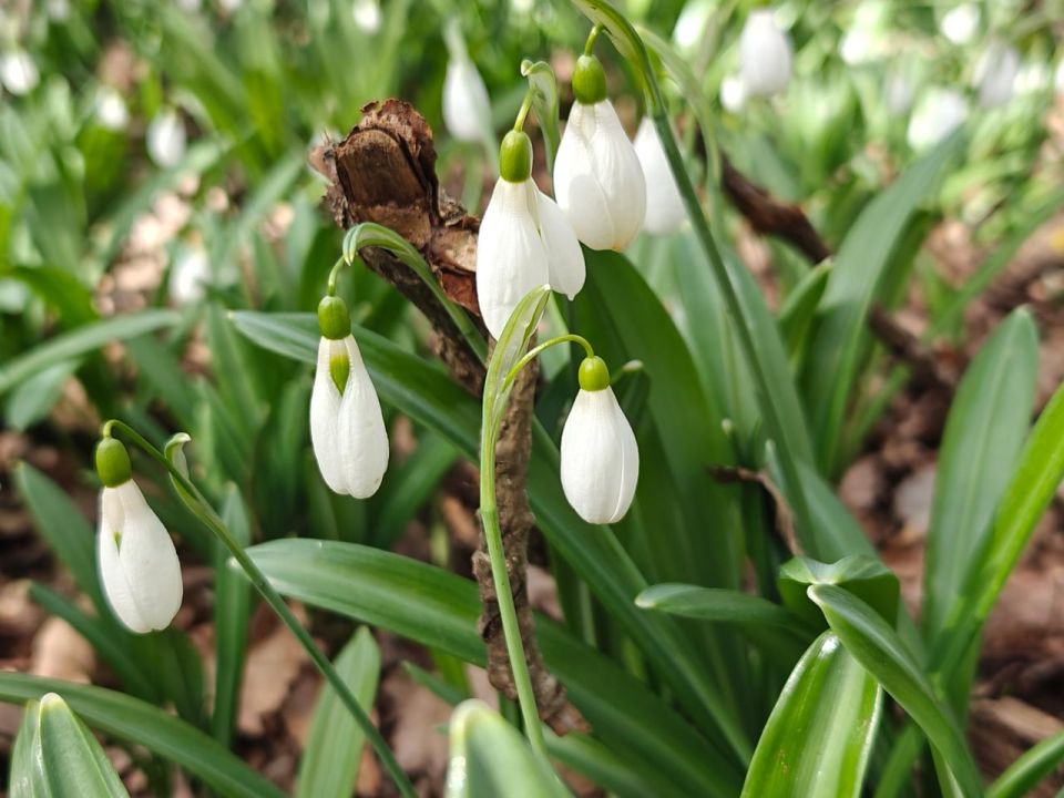 �������-�� �����? ��� � ����� ����� �����������