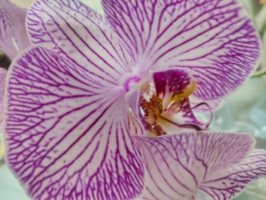 ������ ����, �������!. ����� ���� ���������� ����� ���������, � ��� ������� �������� ������ ������������� ������