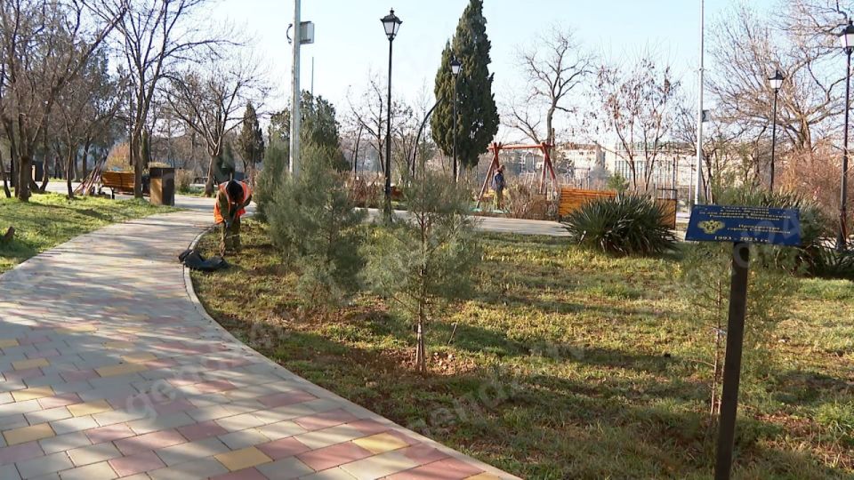 Весенний уход за зелёными зонами начали в Севастополе Весенний уход за зелёными зонами начали в Севастополе